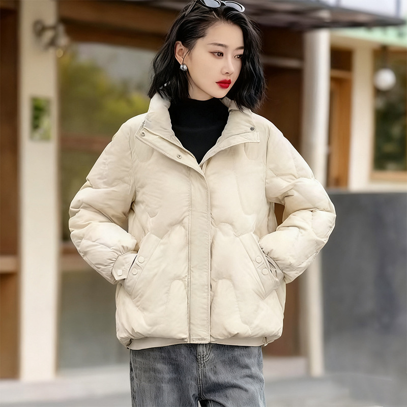 Winter Clothing Colors 2026 - 다운 코튼 자켓 여성 2026 신상